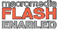 macromedia Flash player plugin